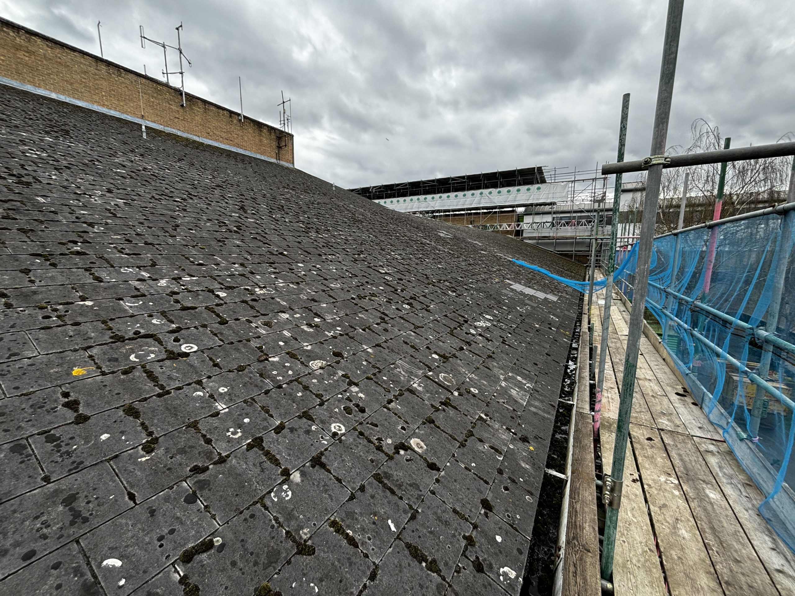 Roofers in Surrey